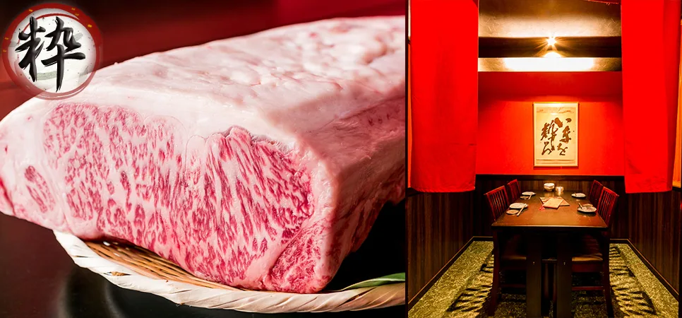 鉄板焼きのライブ感を感じる店内イメージ